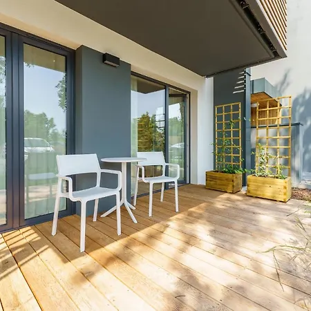 Birch Tree Surfingbird *