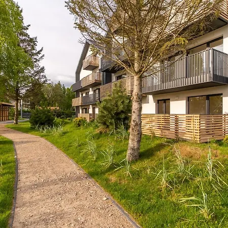 Birch Tree Surfingbird * Dźwirzyno