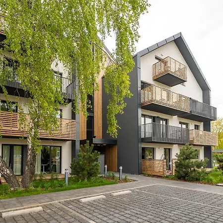 Apartment Birch Tree Surfingbird *