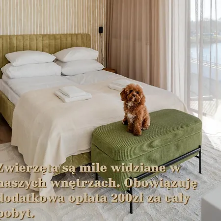 Birch Tree Surfingbird * Dźwirzyno