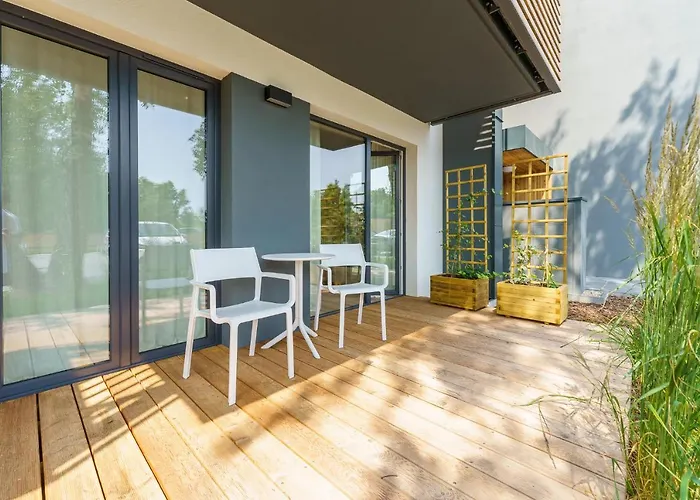 Birch Tree Surfingbird *