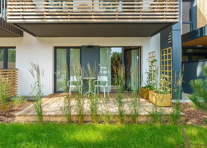 Birch Tree Surfingbird