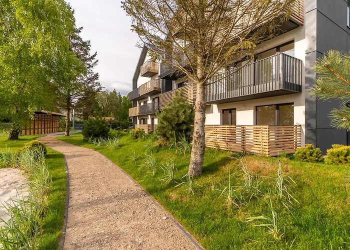 Birch Tree Surfingbird * Dźwirzyno