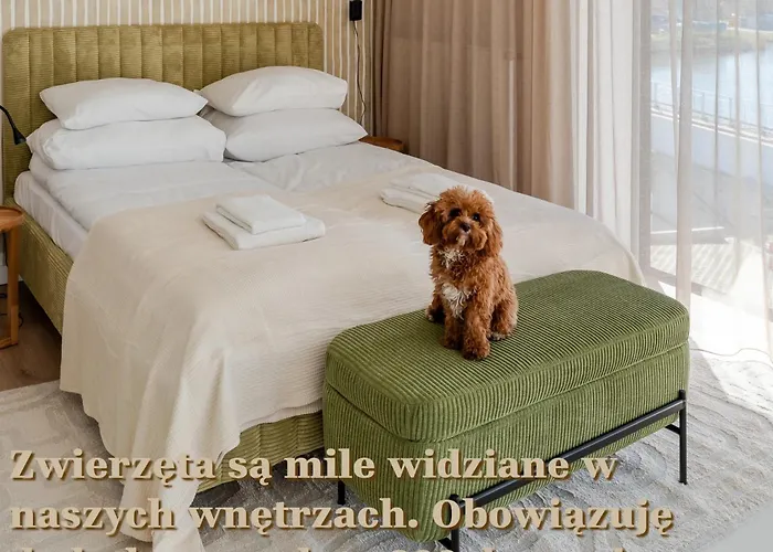 Birch Tree Surfingbird * Dźwirzyno